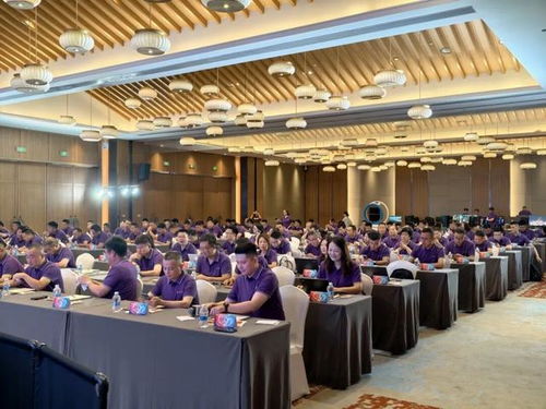 巳海昇屏,e立潮頭 2025年aoc顯示器全國操盤手大會隆重召開